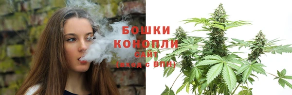 прущие грибы Киреевск