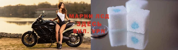 хмурый Кодинск
