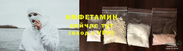 крисы Кемь
