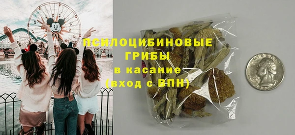 прущие грибы Киреевск