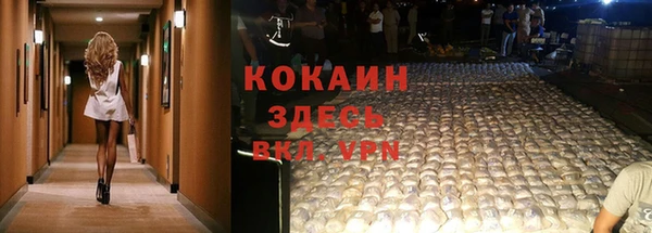 прущие грибы Киреевск