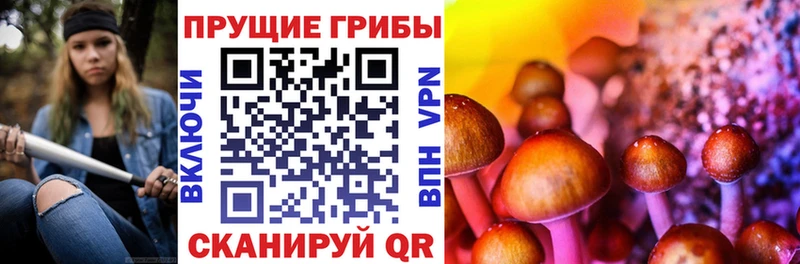 продажа наркотиков  Ковдор  OMG зеркало  Галлюциногенные грибы MAGIC MUSHROOMS 